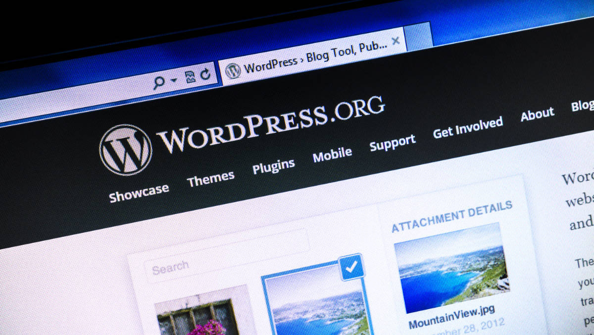 WordPress Web Hosting